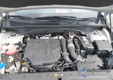 2023 Hyundai Santa Fe Calligraphy из США, поврежденный, VIN 5NMS5DAL3PH498845